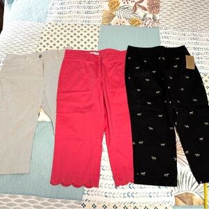 Bundle 3 Capri pants